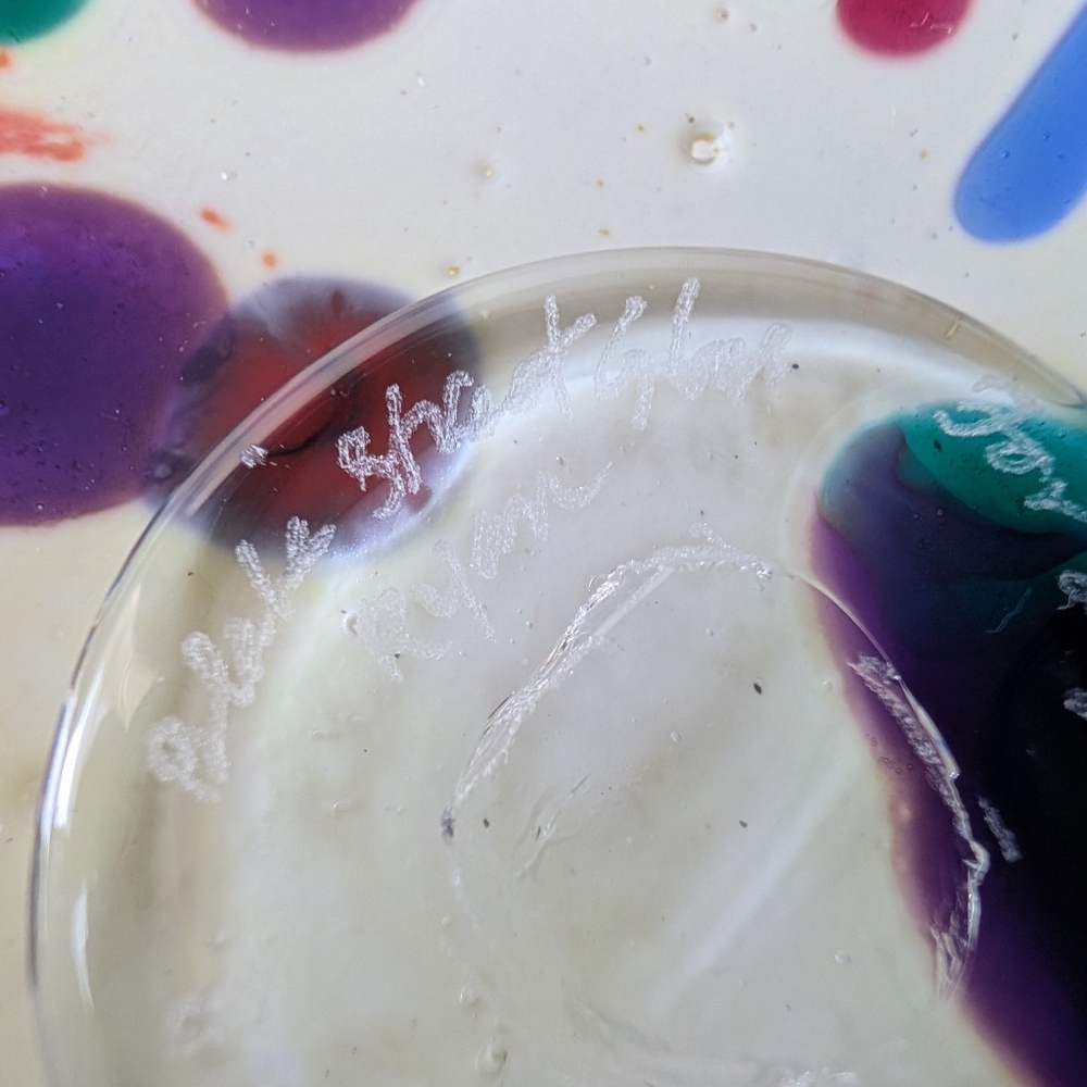 Blake Street Glass Studio Handmade Multicolor Art Glass Bowl Signed - Picture 12 of 14
